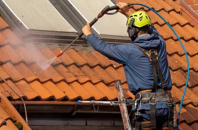 Démoussage et hydrofuge de toiture à Espalem